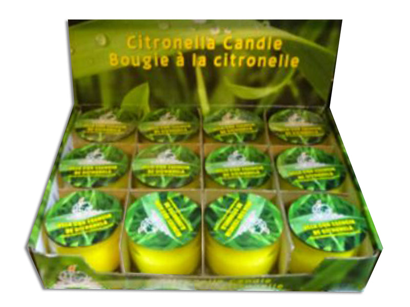 Carton of 24 Garden Citronella Candle In Glass Jar