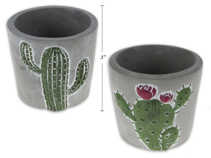 Carton of 24 Cement Cactus Planter