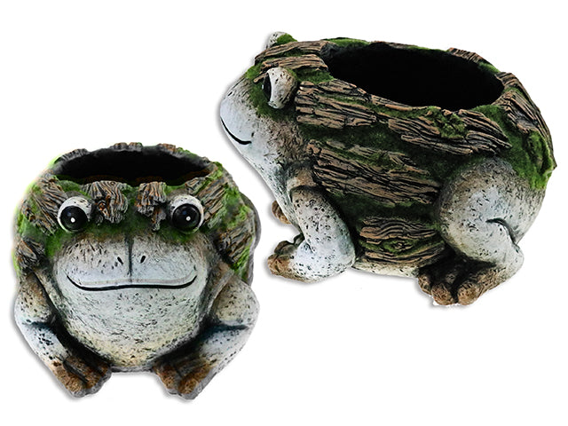 Carton of 8 Frog Cement Planter