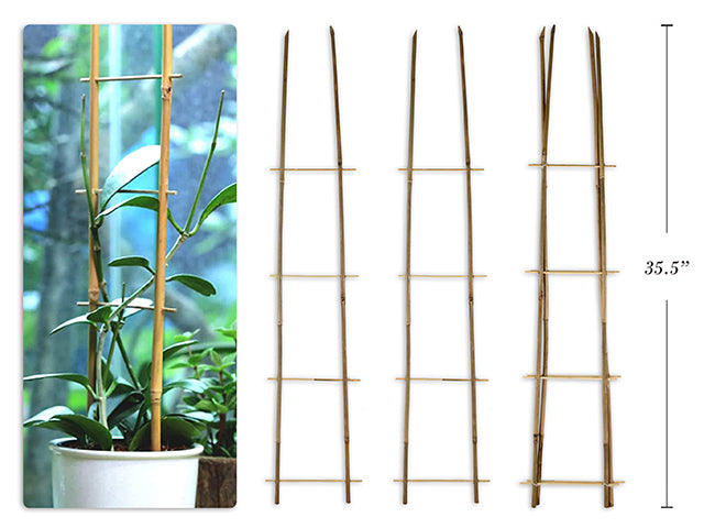 Carton of 12 Bamboo Plant Supports