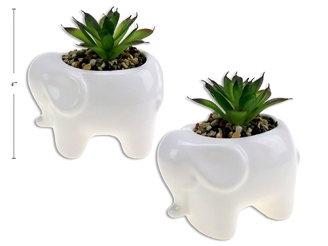 Carton of 6 Artificial Succulent In White Dolomite Elephant Planter