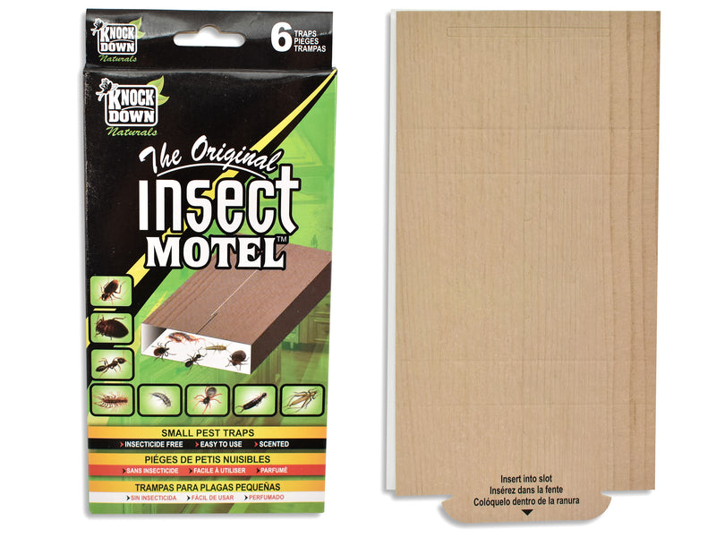 Carton of 24 Insect Motel 6 Pack