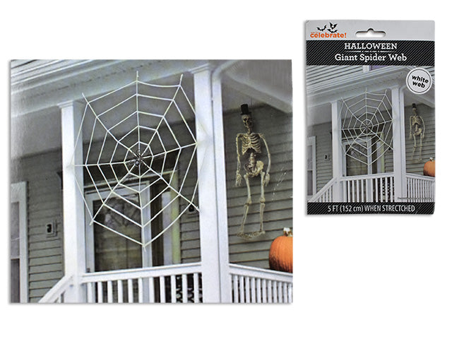 Carton of 24 Halloween Polypropylene Spider Web