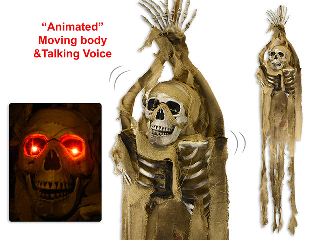 Carton of 4 Halloween Led Shaking Animated Hanging Skeleton