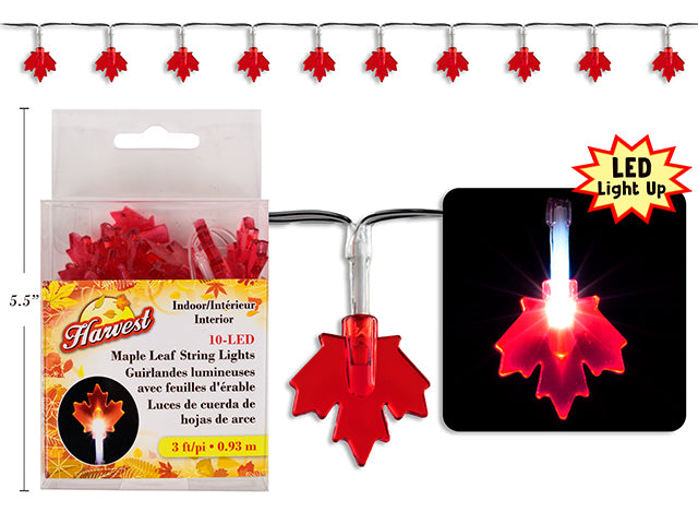 Carton of 24 Harvest Maple Leaf Battery Operated Led String Lights