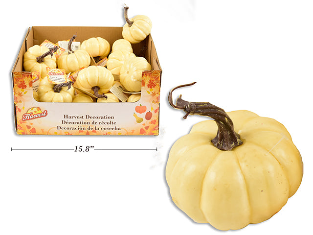 Carton of 36 Harvest White Pumpkin In Display.