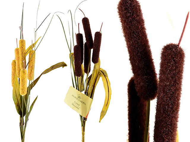 Carton of 24 15.35in Harvest 5-Heads Cattail Branch. Incl: 3 Leaves. 2 Asst.Colours. Cht.