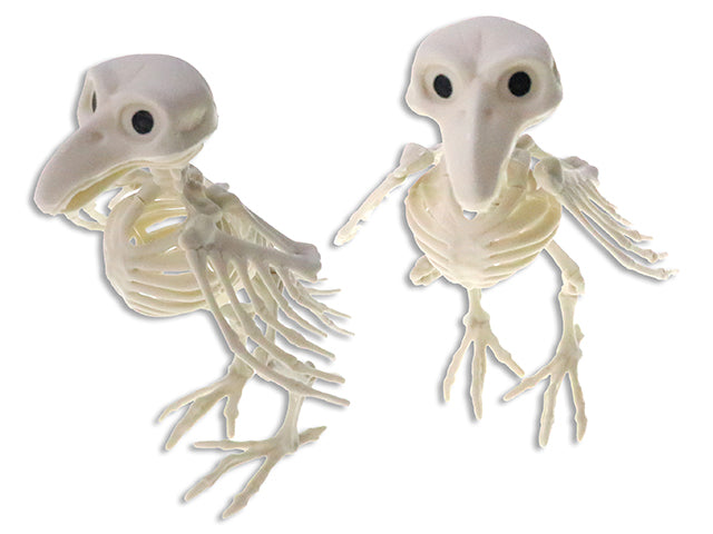 Carton of 24 7.5in(H) x 3-7/8in(W) Hween Decor Skeleton Crow. Cht.