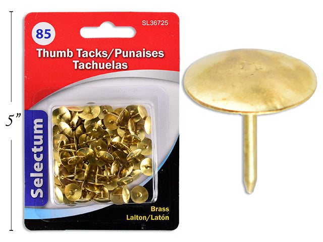 Carton of 24 Brass Thumbtacks 85 Pack