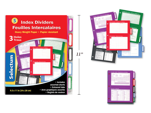 Carton of 12 Index Dividers Wit Assistant Charts 5 Pack