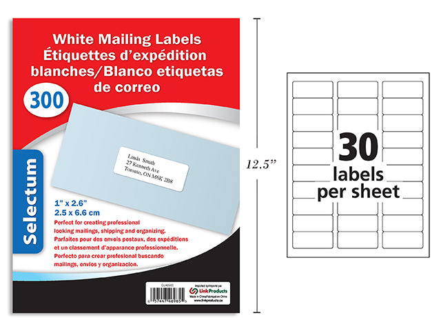 Carton of 12 White Mailing Labels 300 Labels