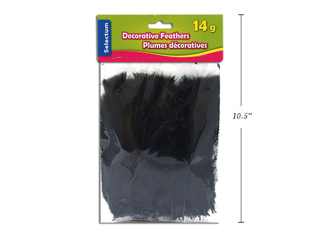 Carton of 12 Decorative Feathers Black