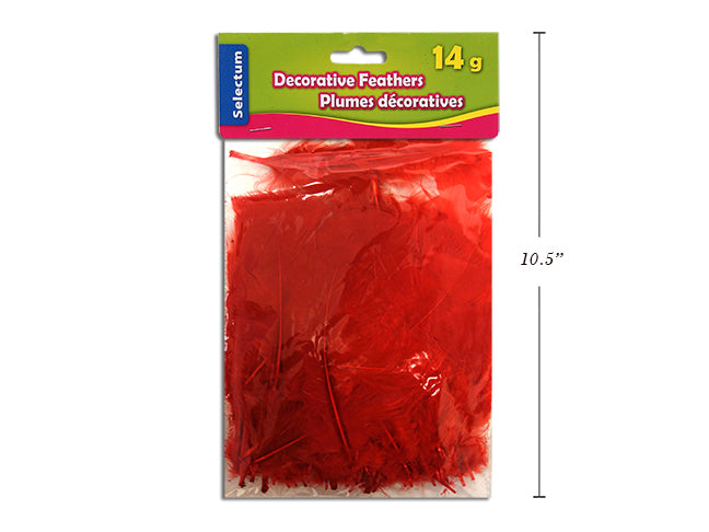 Carton of 12 Decorative Feathers Red