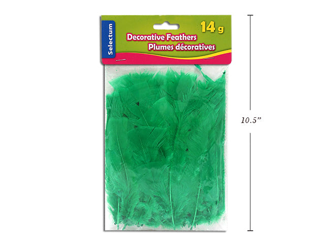 Carton of 12 Decorative Feathers Dark Green