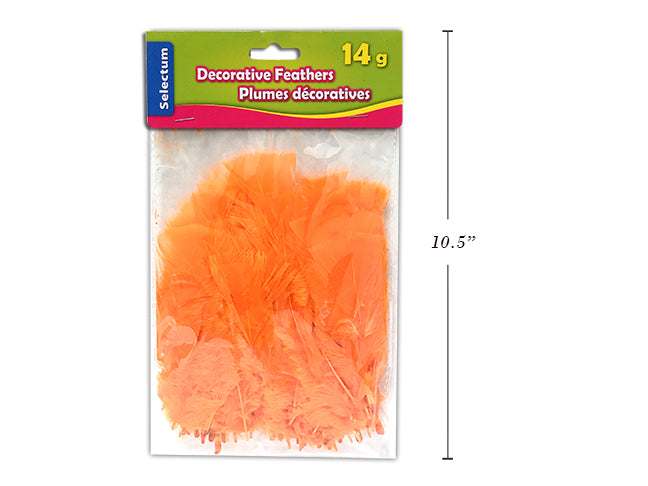 Carton of 12 Decorative Feathers Orange