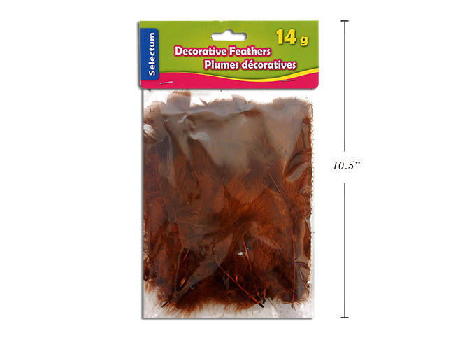 Carton of 12 Decorative Feathers Brown