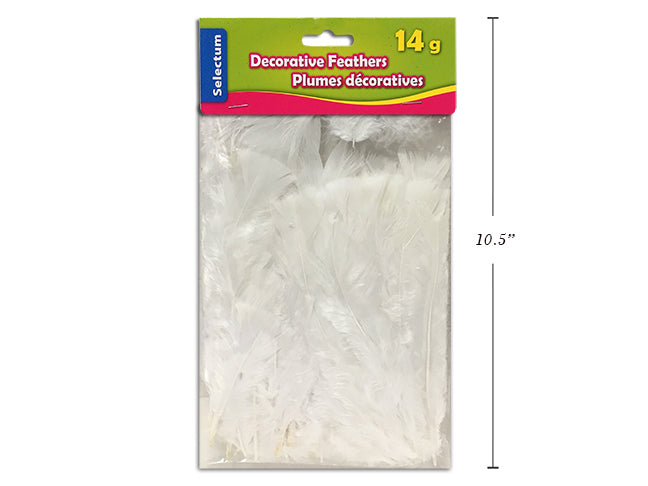 Carton of 12 Decorative Feathers White