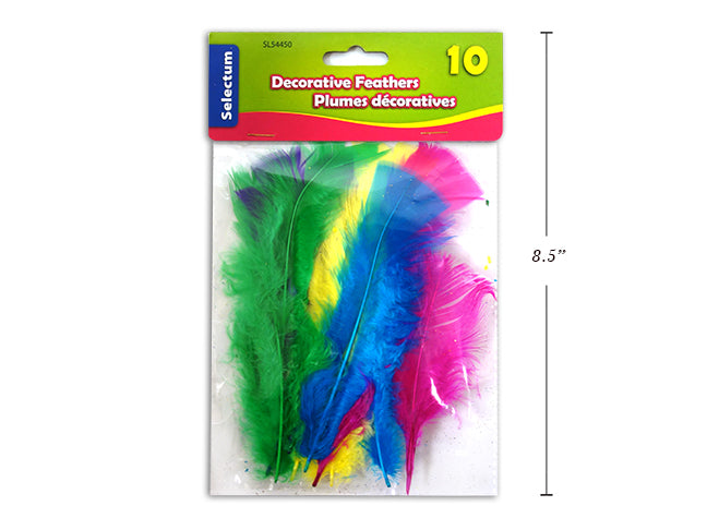 Carton of 12 Deco Feathers Small 10 Pack