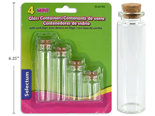 Carton of 12 Glass Mini Containers