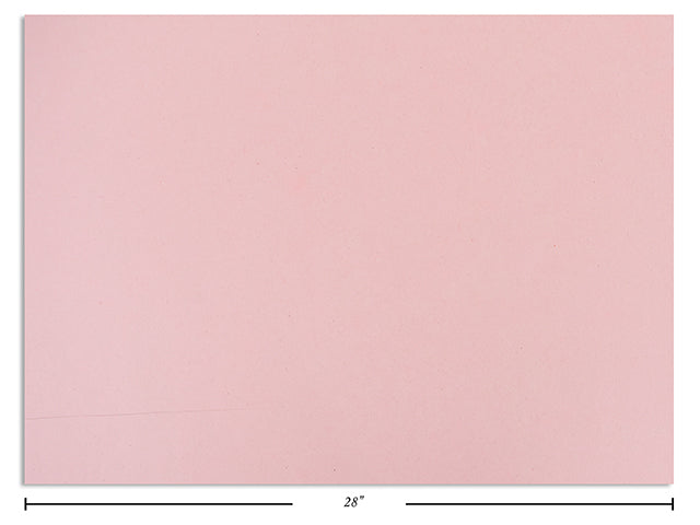 Carton of 50 Bristol Poster Board Pink