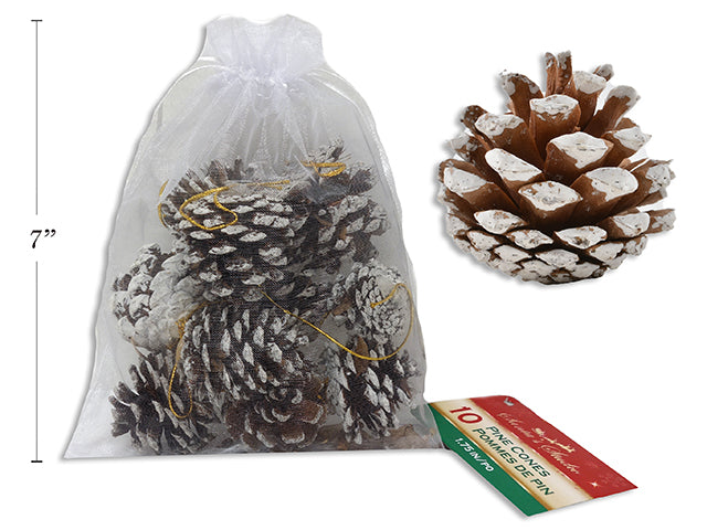 Carton of 24 Snow Dusted Pine Cones In Organza Drawstring Bag 10 Pack