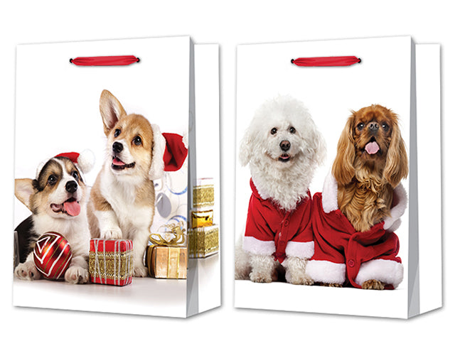 Carton of 12 Christmas Matte Photographic Dog Friends Large Gift Bag