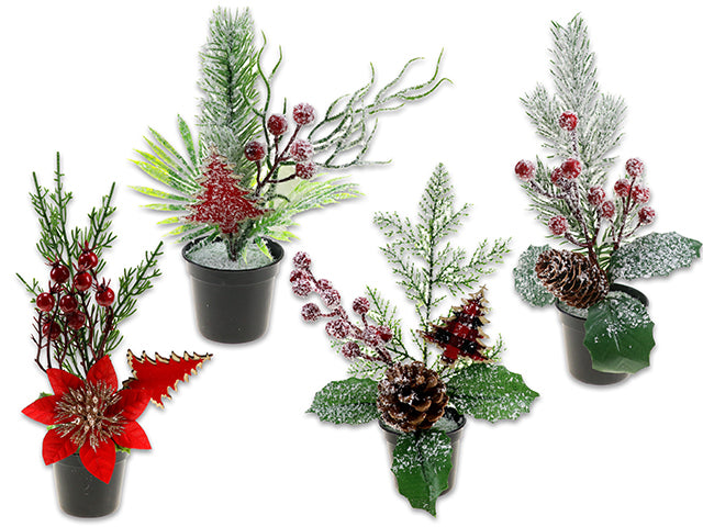 Carton of 12 Christmas Snow Dusted Plant In Plastic Pot