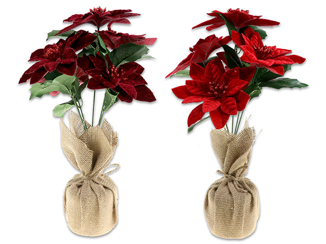 Carton of 12 Christmas Flocked Poinsettia In Burlap Pot