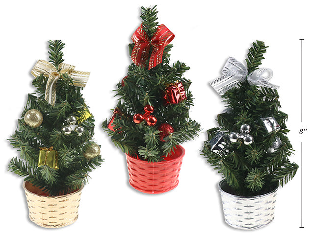 Carton of 24 Christmas Tree In Plastic Pot