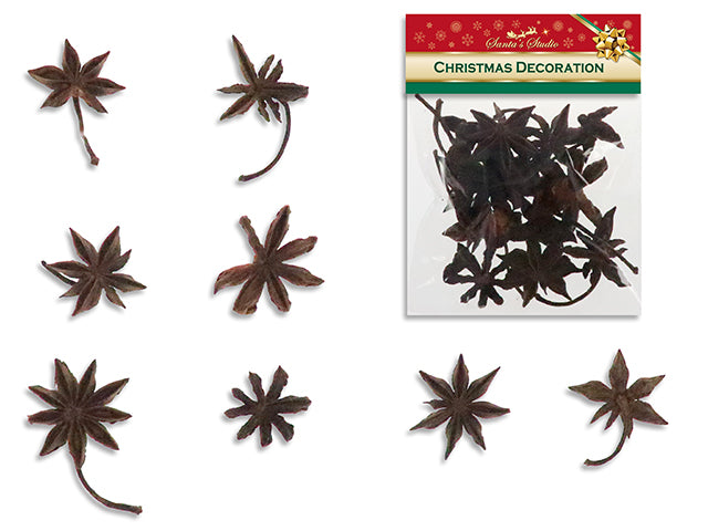 Carton of 24 15g (0.53oz) Anise. Pbh.