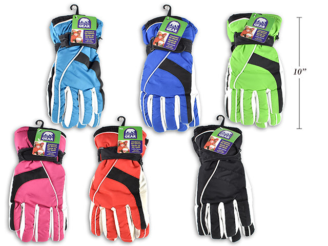 Ladies Insulated Ski Gloves One Size
