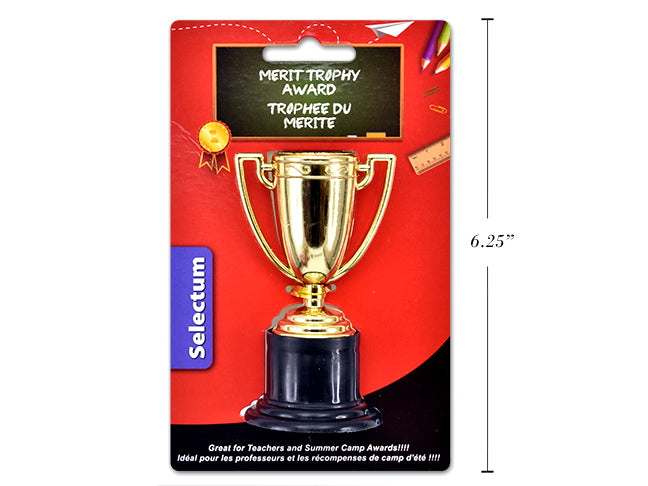 Teachers Merit Trophy Award