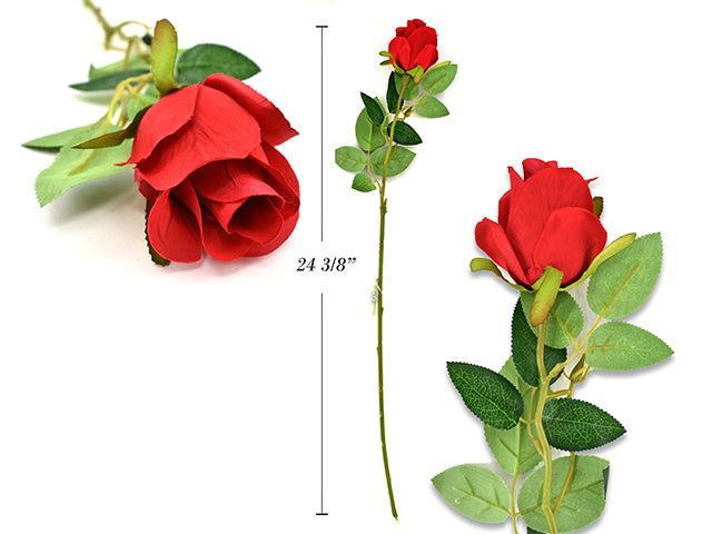 Open Long Stem Rose
